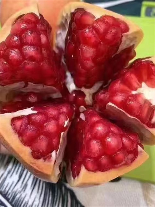 软籽石榴